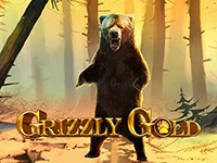 เกมสล็อต Grizzly Gold